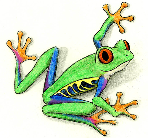 Red Eyed Tree Frog clipart #14, Download drawings