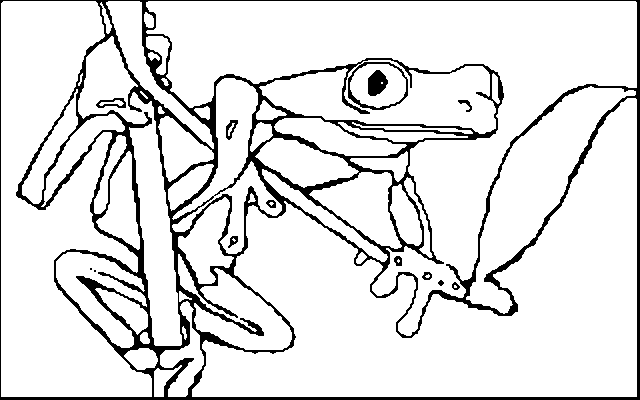 Red Eyed Tree Frog coloring #20, Download drawings