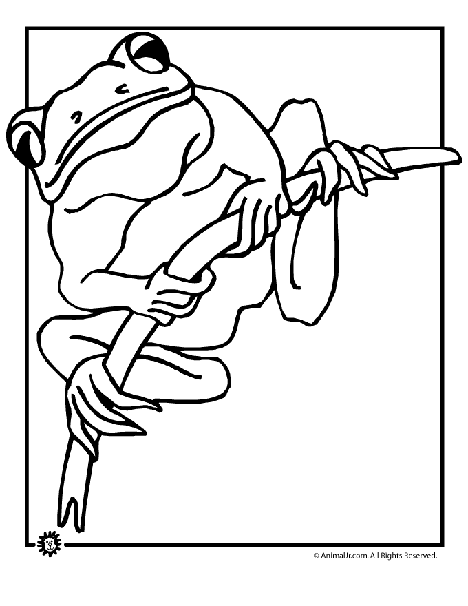 Tree Frog coloring #11, Download drawings