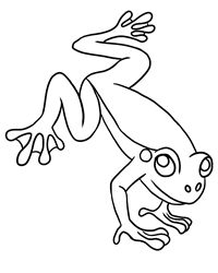 Red Eyed Tree Frog coloring #1, Download drawings