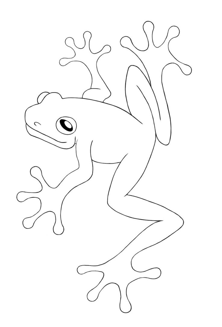 Red Eyed Tree Frog coloring #16, Download drawings