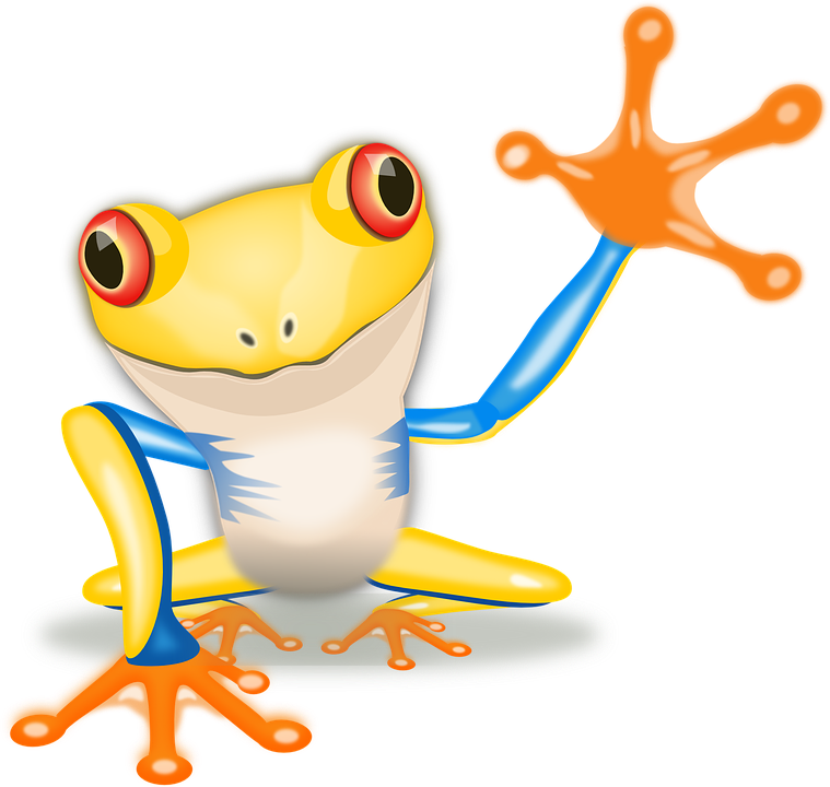 Red Eyed Tree Frog svg #4, Download drawings