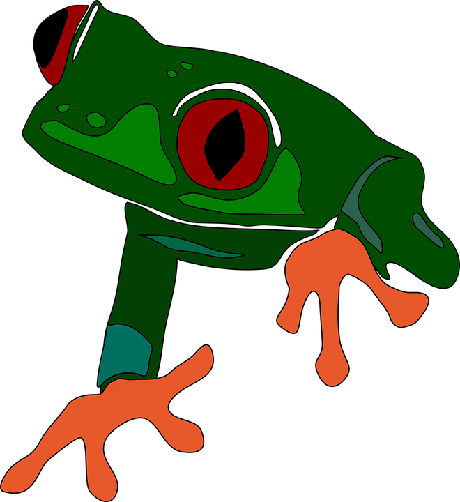 Red Eyed Tree Frog svg #9, Download drawings