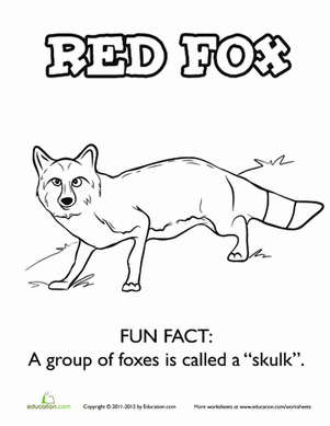 Red Fox coloring #18, Download drawings
