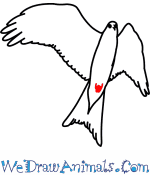 Red Kite coloring #15, Download drawings