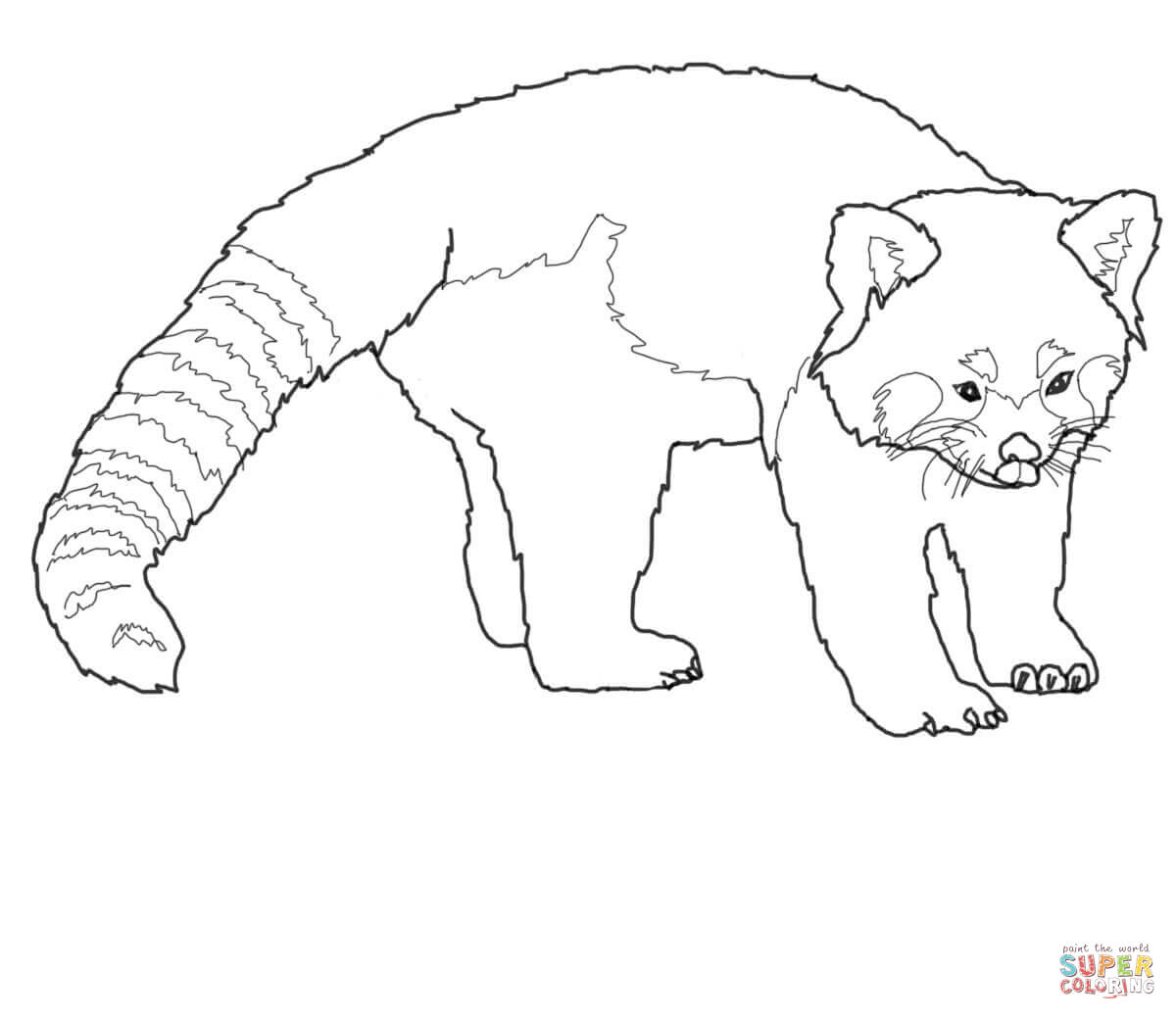 Red Panda coloring #17, Download drawings