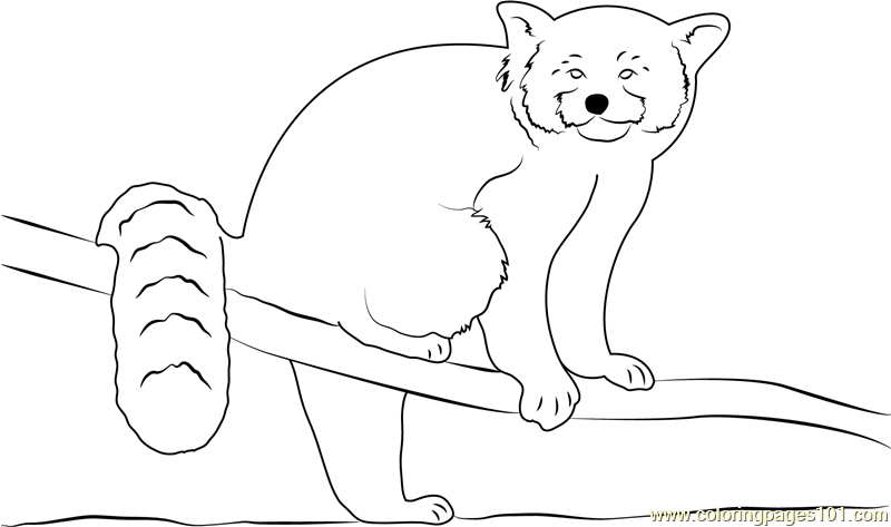 Red Panda coloring #13, Download drawings