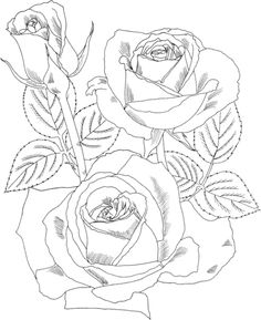 Red Rose coloring #2, Download drawings