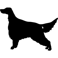 Red Setter clipart #18, Download drawings