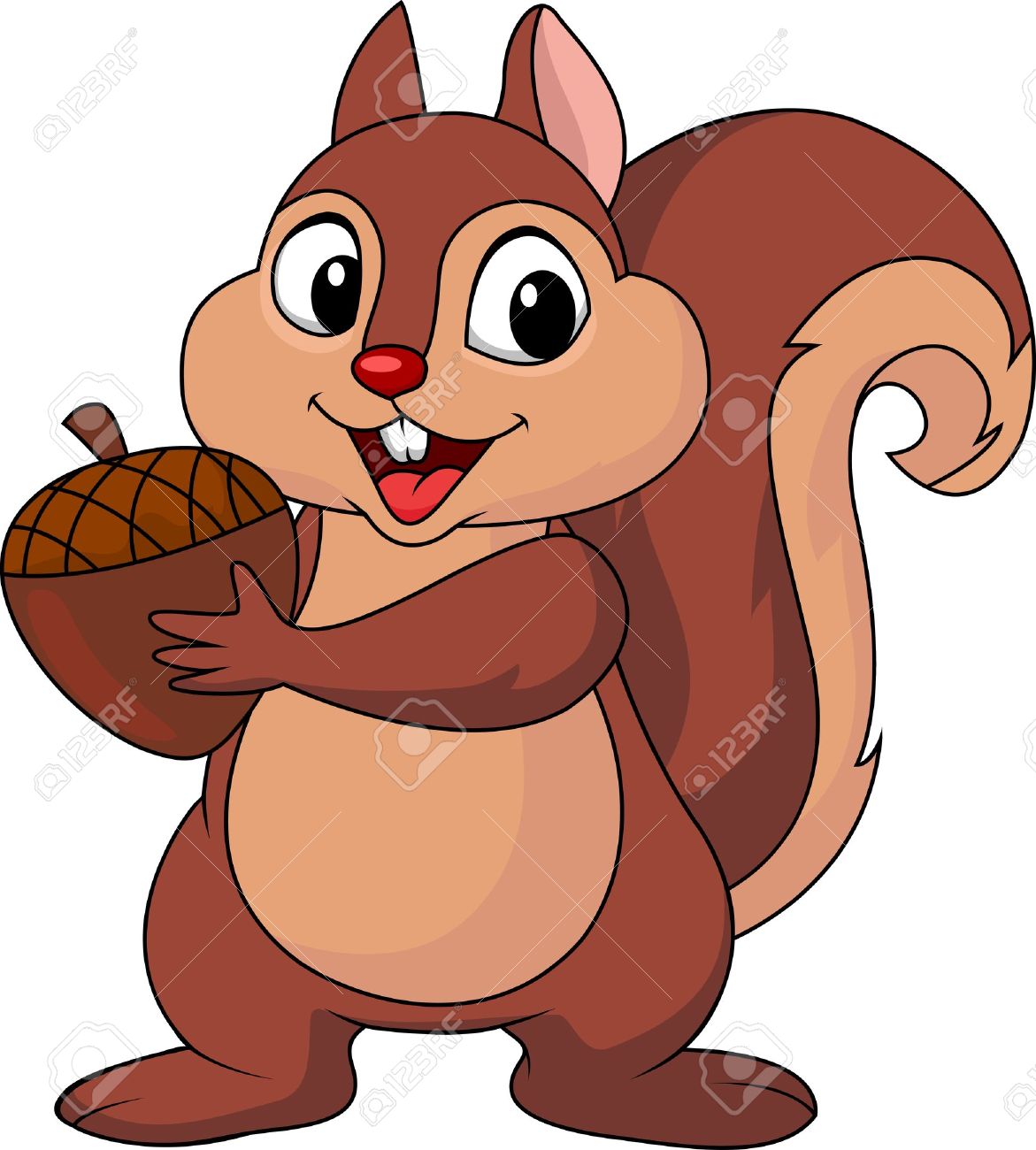 Red Squirrel clipart #12, Download drawings