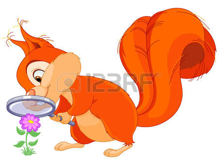 Red Squirrel clipart #15, Download drawings