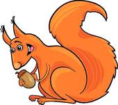 Red Squirrel clipart #10, Download drawings
