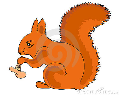 Red Squirrel clipart #2, Download drawings