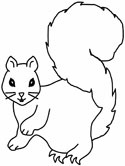 Red Squirrel coloring #20, Download drawings