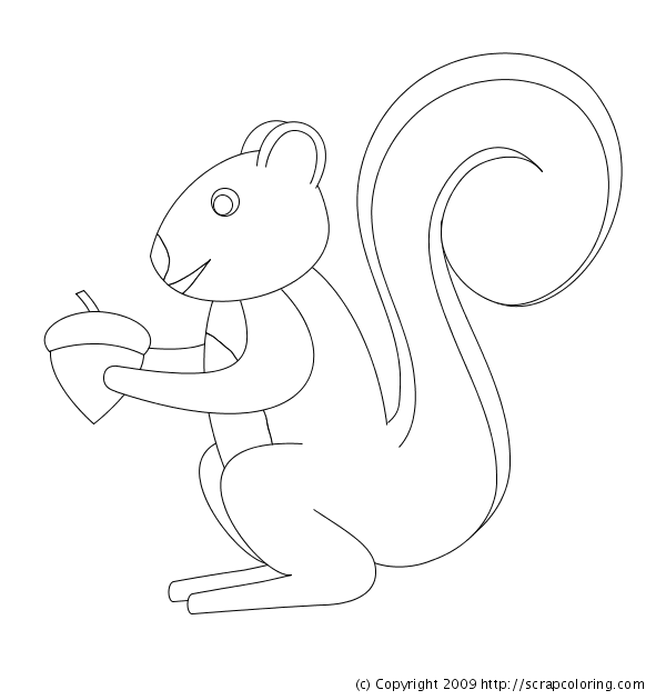 Red Squirrel coloring #16, Download drawings