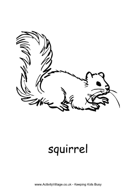 Red Squirrel coloring #12, Download drawings