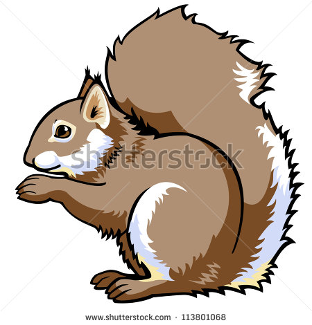 Red Squirrel svg #1, Download drawings