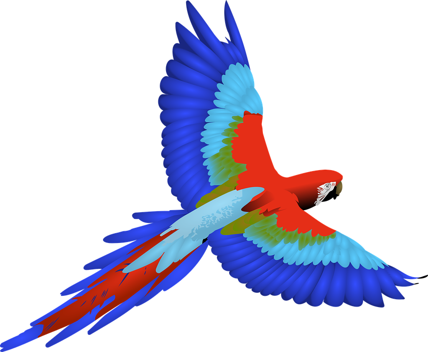 Red-and-green Macaw svg #2, Download drawings