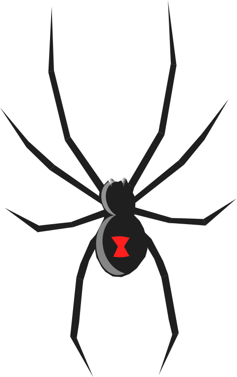 Redback Spider clipart #18, Download drawings