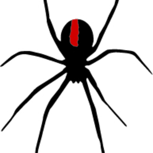 Redback Spider clipart #10, Download drawings