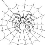 Redback Spider coloring #3, Download drawings