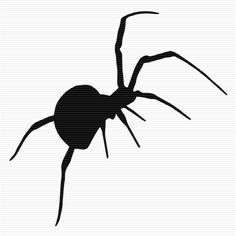 Redback Spider svg #14, Download drawings