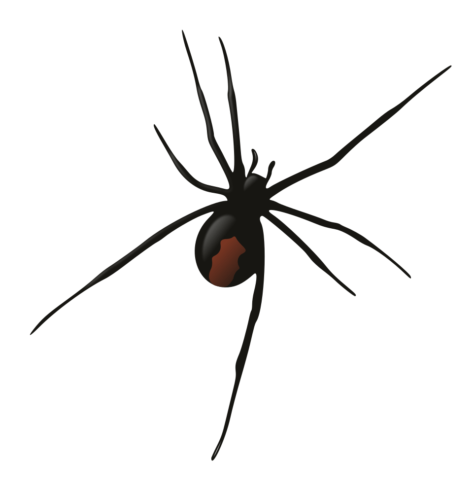 Redback Spider svg #7, Download drawings