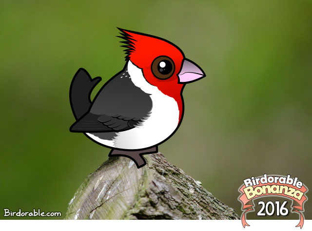 Red-Crested Cardinal coloring #19, Download drawings