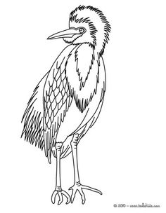 Red-crowned Crane coloring #10, Download drawings