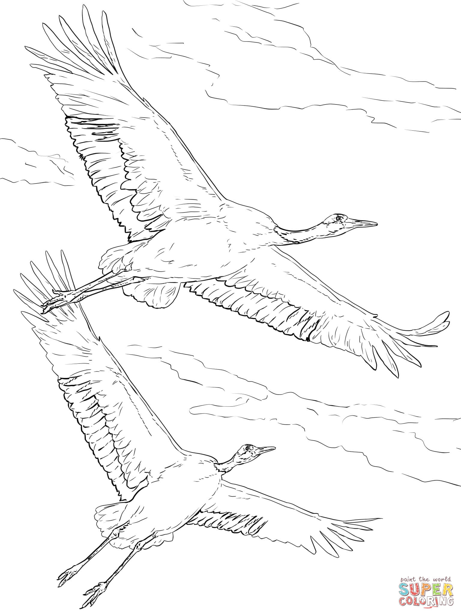 Red-crowned Crane coloring #6, Download drawings