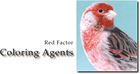Red-masked Finch coloring #13, Download drawings