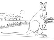 Red-necked Wallaby coloring #4, Download drawings