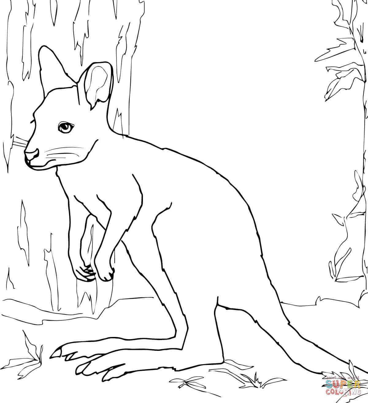 Red-necked Wallaby coloring #3, Download drawings