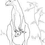 Red-necked Wallaby coloring #1, Download drawings