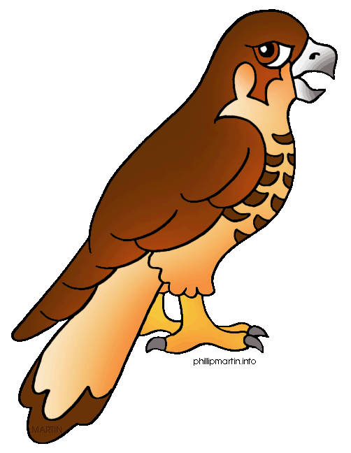 Red-tailed Hawk clipart #17, Download drawings