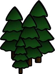 Redwood clipart #13, Download drawings