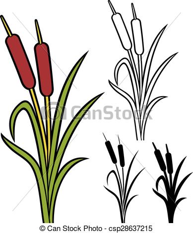 Reed clipart #15, Download drawings