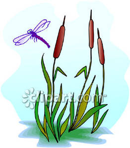 Reed clipart #3, Download drawings