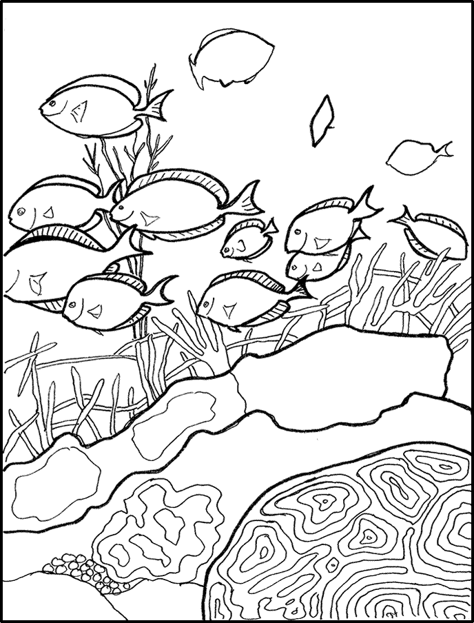 Coral coloring #9, Download drawings
