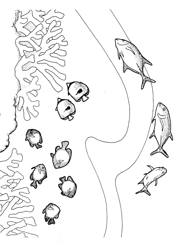 Barrier Reef coloring #5, Download drawings