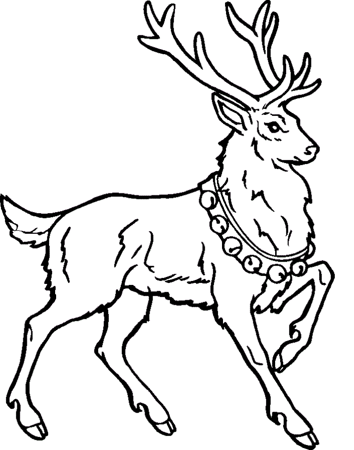 Reindeer coloring #19, Download drawings
