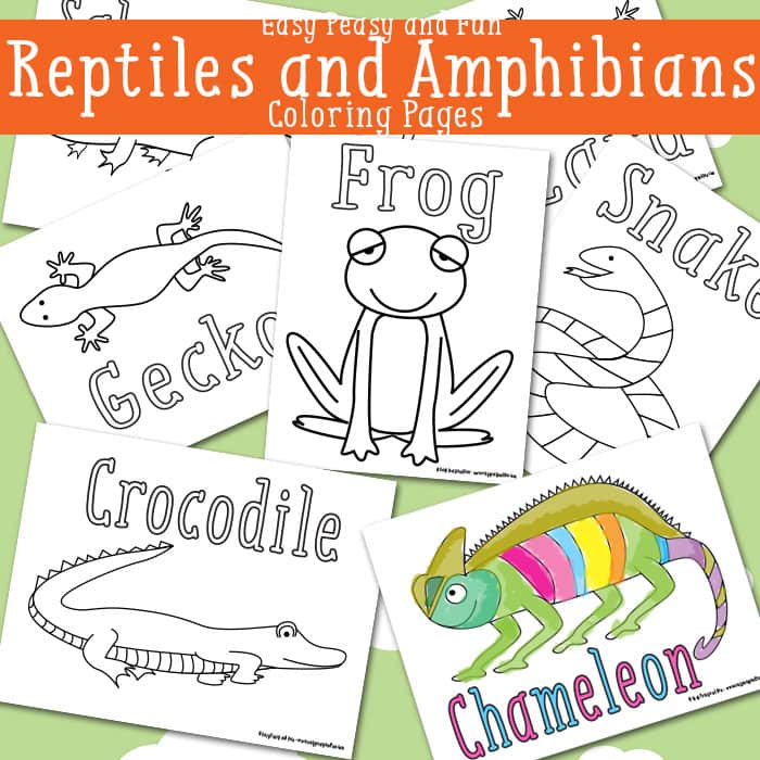 Reptile coloring #8, Download drawings