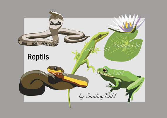 Reptile svg #10, Download drawings