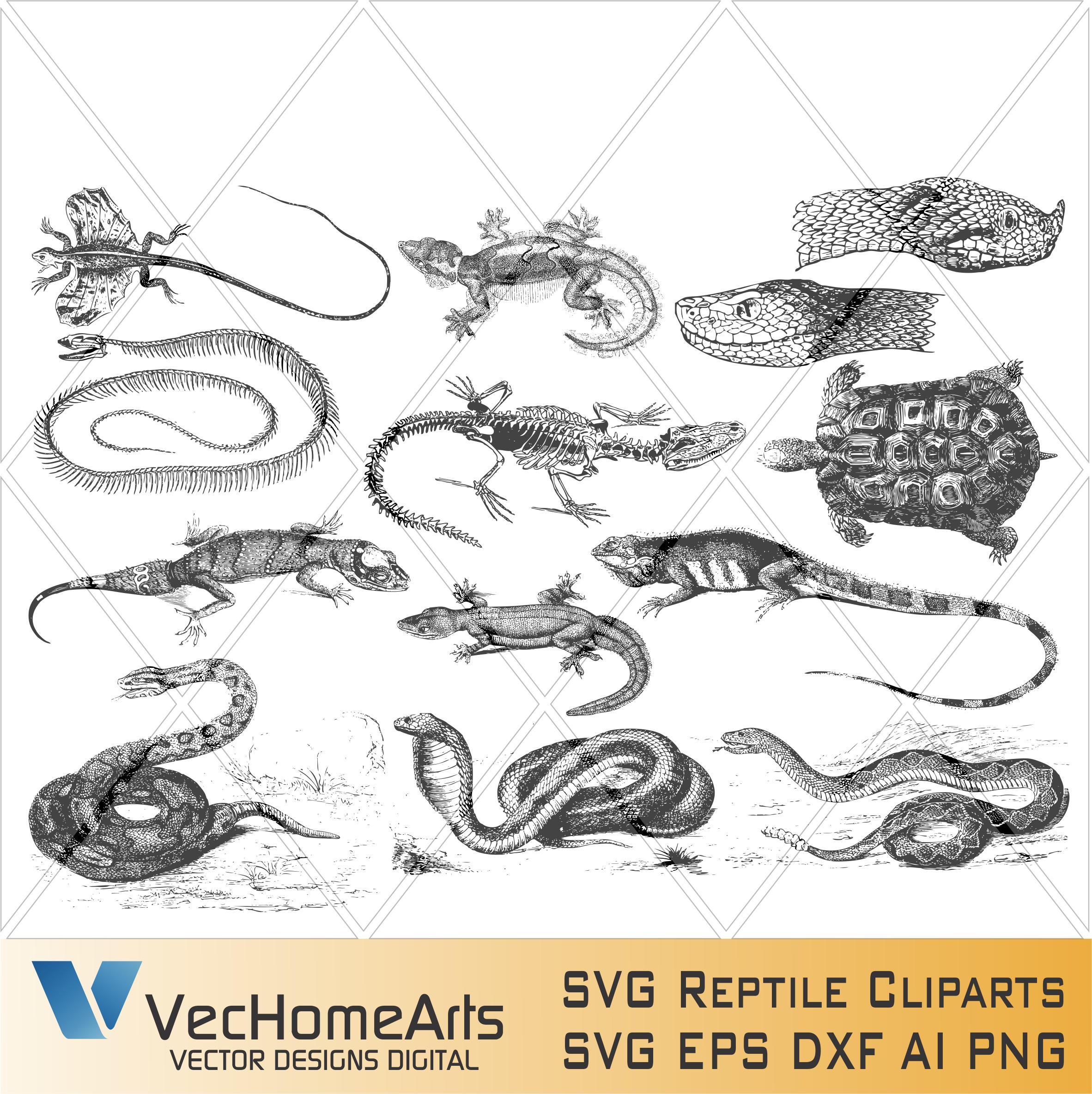 Reptile svg #7, Download drawings