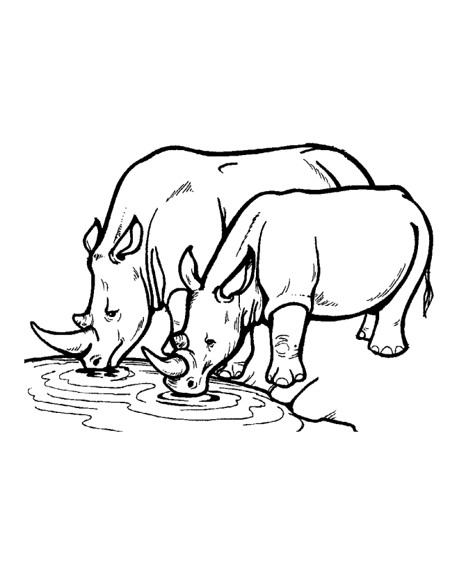 Rhino coloring #3, Download drawings