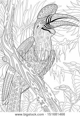 Rhinoceros Hornbill coloring #5, Download drawings