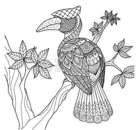Rhinoceros Hornbill coloring #8, Download drawings