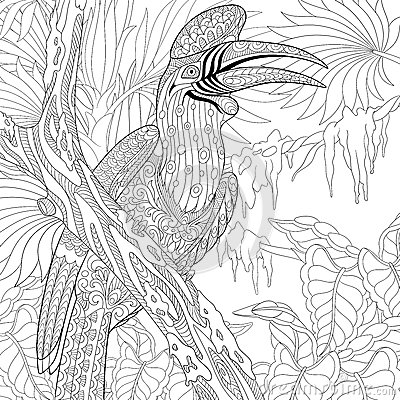 Rhinoceros Hornbill coloring #12, Download drawings