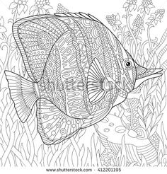 Rhinoceros Hornbill coloring #7, Download drawings
