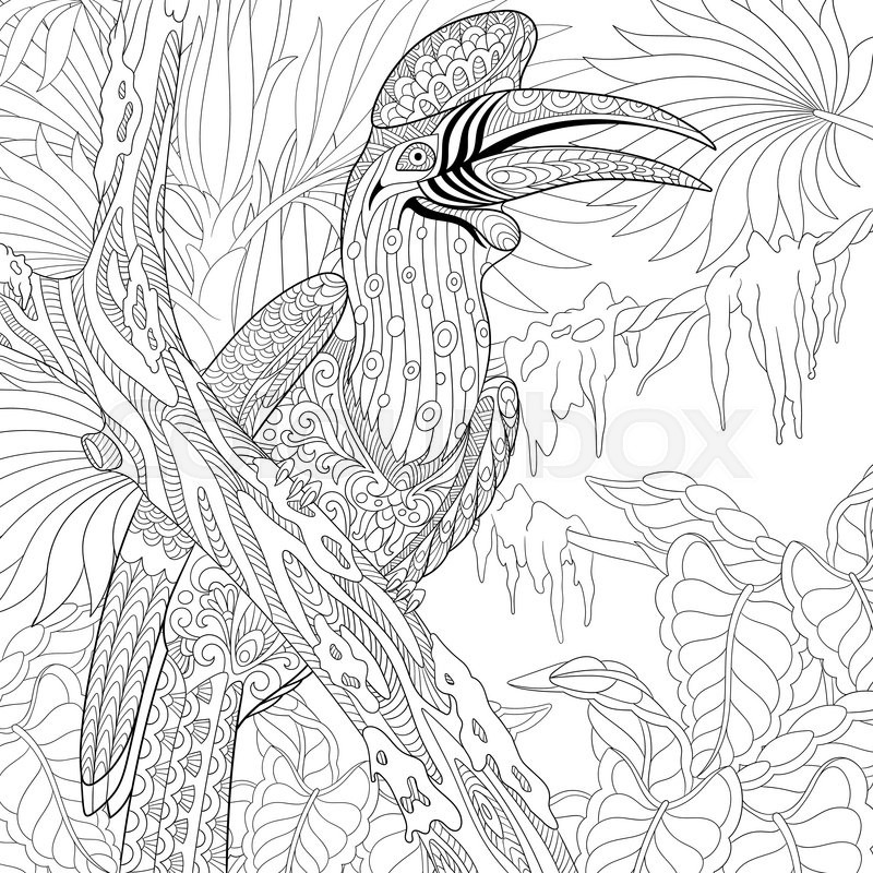 Rhinoceros Hornbill coloring #2, Download drawings